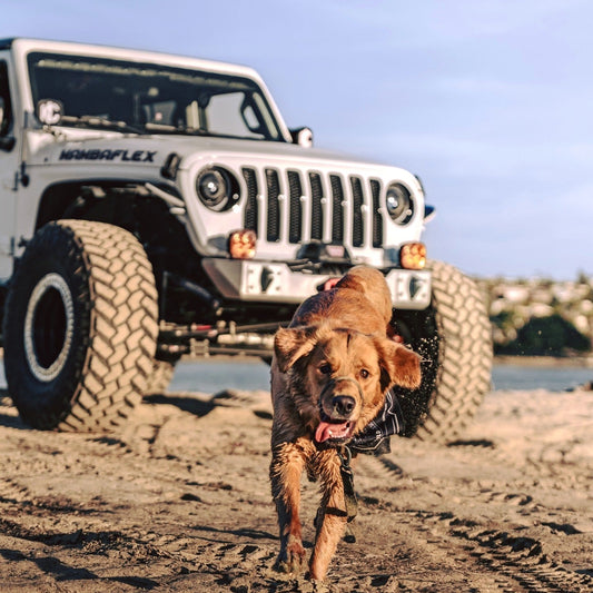 Taking Your Furry Friend Off-Road: Wrangler Pet-Friendly Mods for a Happy Pup